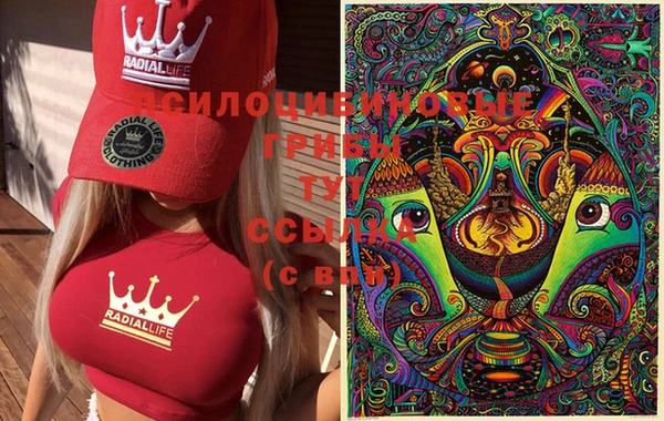 молекула духа Абдулино